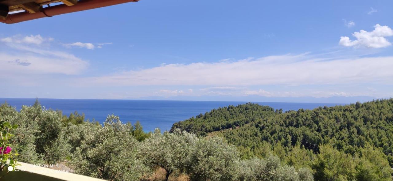 شقة Elia House 1 Astoning Sea View Among The Olive Trees باتيتيري المظهر الخارجي الصورة