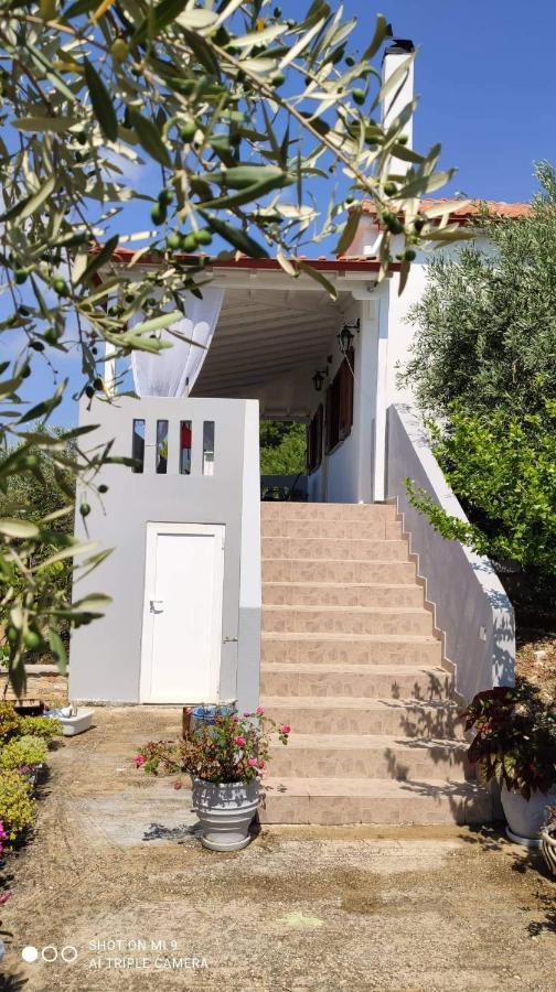 شقة Elia House 1 Astoning Sea View Among The Olive Trees باتيتيري المظهر الخارجي الصورة